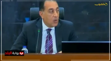 مصر تصنع مستقبلها.. مدبولي يكشف عن اجتماعات حاسمة لتوطين صناعة الطاقة المتجددة في مصر 1